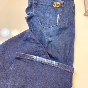 Joe's Jeans Rocker Denim Jeans